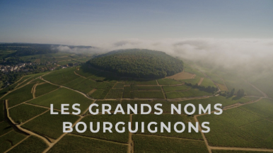 producteur de vin direct en ligne