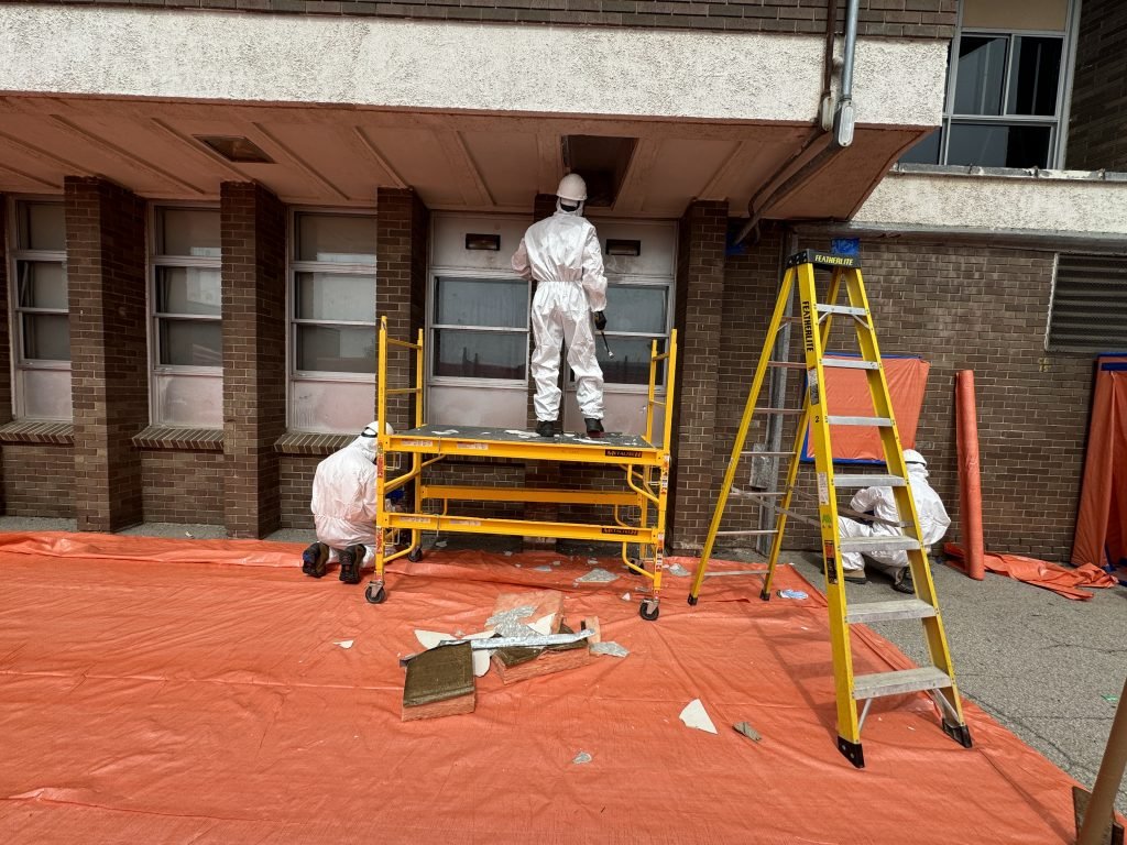 mold removal hamilton